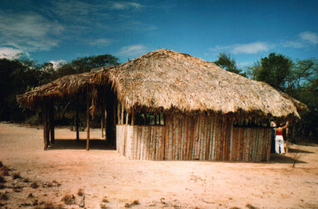 Isla Cabrito Lago Enriquillo
