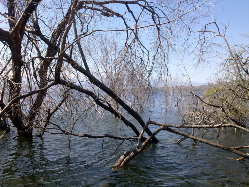 Lago Enriquillo