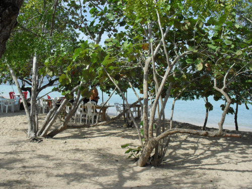 Playa La Ensenada