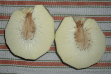 Castaño 