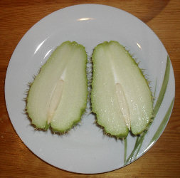 Tallota (Chayote) 