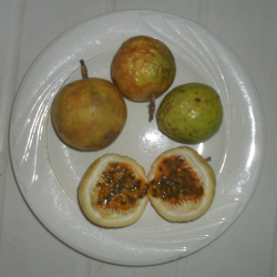 Chinola (Passionsfrucht) 