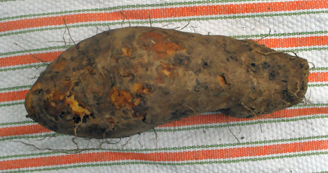 Náme (Yam) 